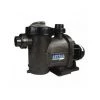 ASTRALPOOL Pompe Filtration Astral Glass Plus 1 Cv Mono