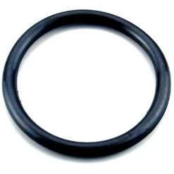 Joint Torique Pour Le Projecteur AstralPool