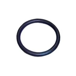 Joint Torique Diffuseur Pompe Piscine Alaska Astralpool