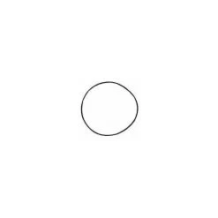 ASTRALPOOL Joint Thorique De Couvercle Pour Filtre à Sable De Piscine Jupiter 6''