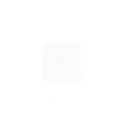 ASTRALPOOL ASTRAL - Peinture Protect'fer Brillante 0.5 L Base White - Blanc