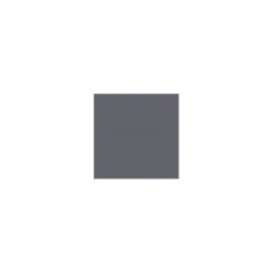 ASTRALPOOL ASTRAL - Peinture Protect'fer Brillante 0.5 L - Gris Minerai